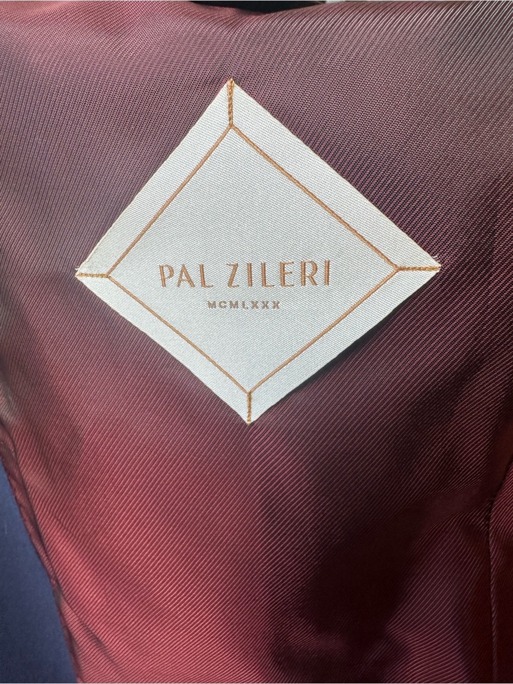 Pal Zileri Men's Suit